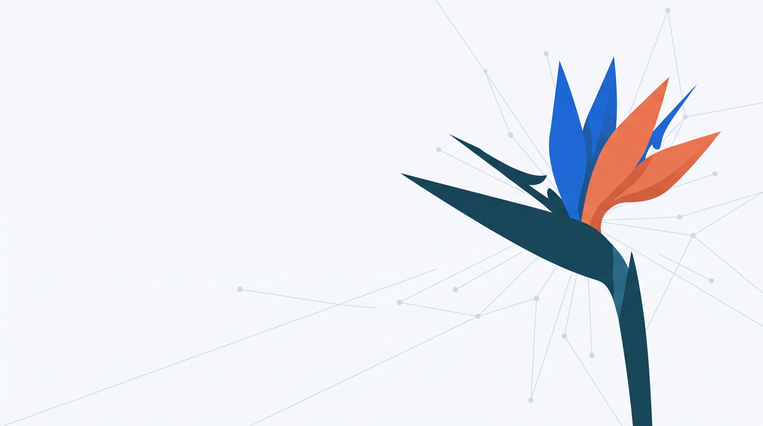 A stylised Strelitzia, the Bird of Paradise flower on the PATHSA logo, with a network of fine connecting lines radiating from it.